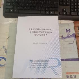 北京大兴国际机场临空经济区生命健康社区能源实施项目可行性研究报告
