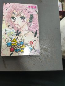 漫画～星之衣羽之纱 (2)