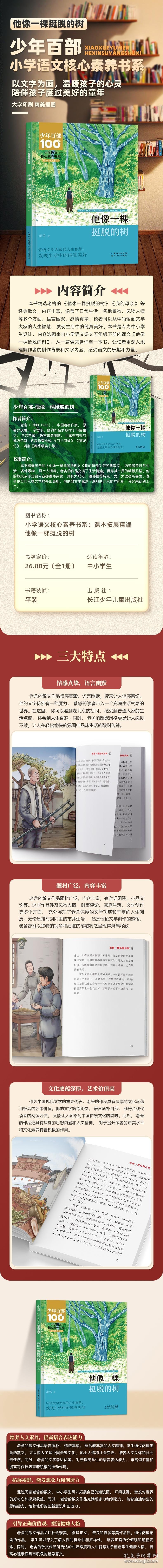 他像一棵挺脱的树 老舍 著 9787572145872 长江少年儿童出版社