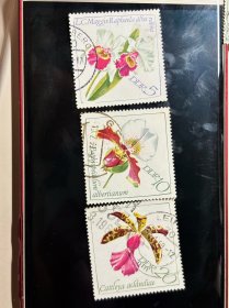 民主德国东德邮票1968年 植物花卉兰花 3 枚