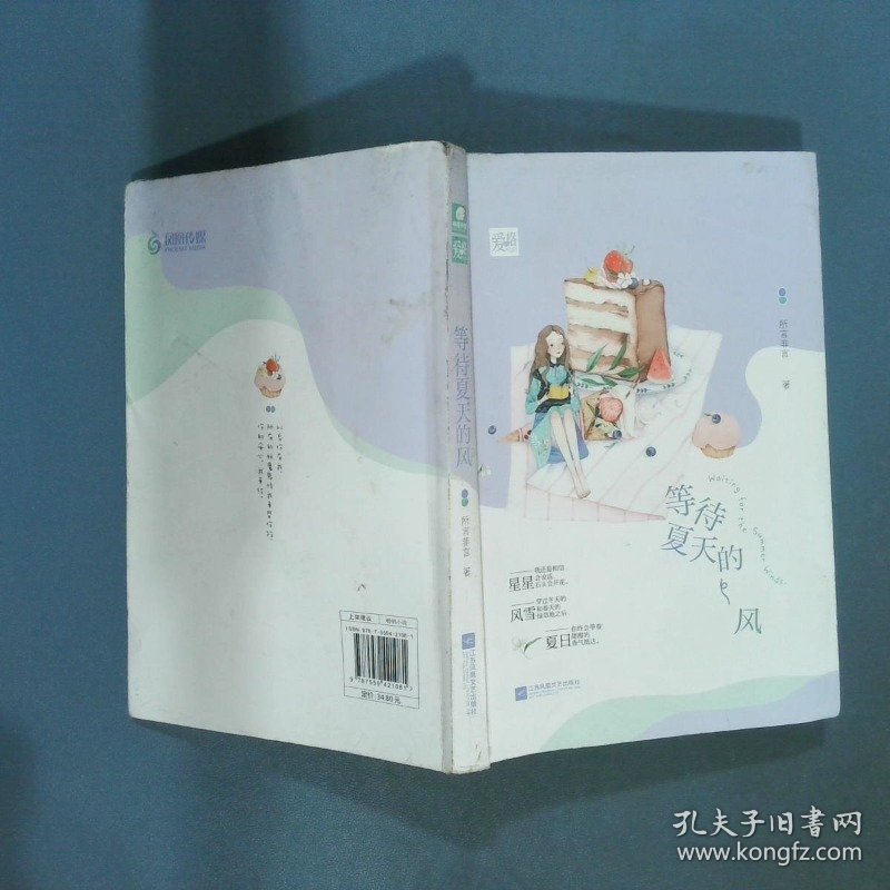 等待夏天的风所言非言  所言非言著 江苏凤凰文艺出版社