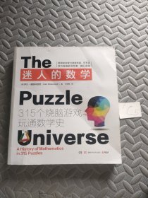 迷人的数学：315个烧脑游戏玩通数学史