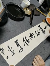 崔寒柏书法，行书一平尺 （一蓑烟雨任平生）