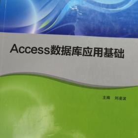 Access数据库应用基础