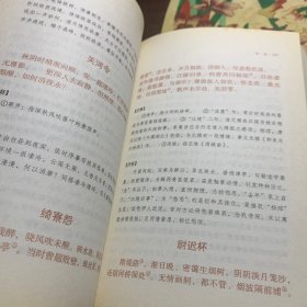 中华传统诗词经典：宋词三百首