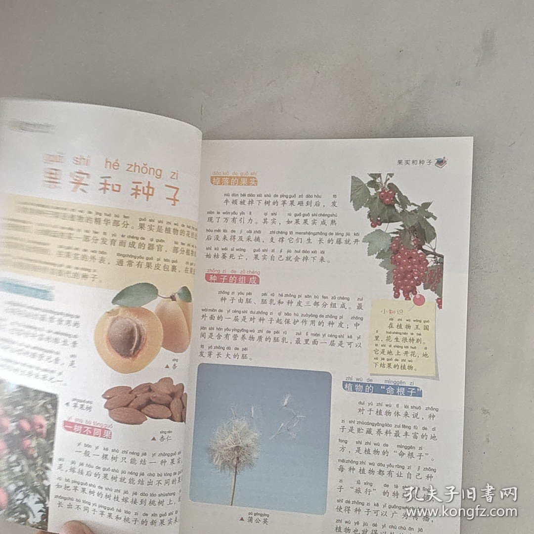 我的第一套百科全书：植物世界