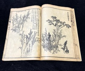 芥子园画传 树譜 晚清民国上海章福记书局印行 一册