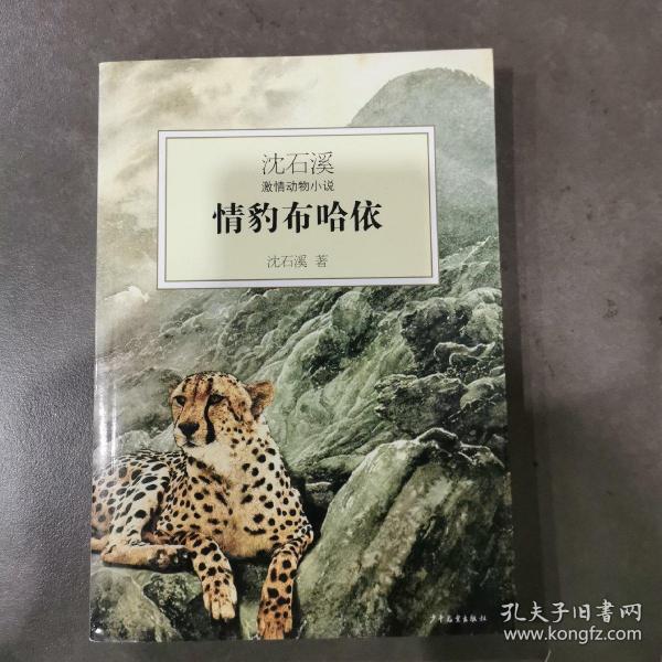 情豹布哈依：沈石溪激情动物小说