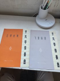 收风琴独奏曲——红缨枪舞和飞速前进（两本和售）