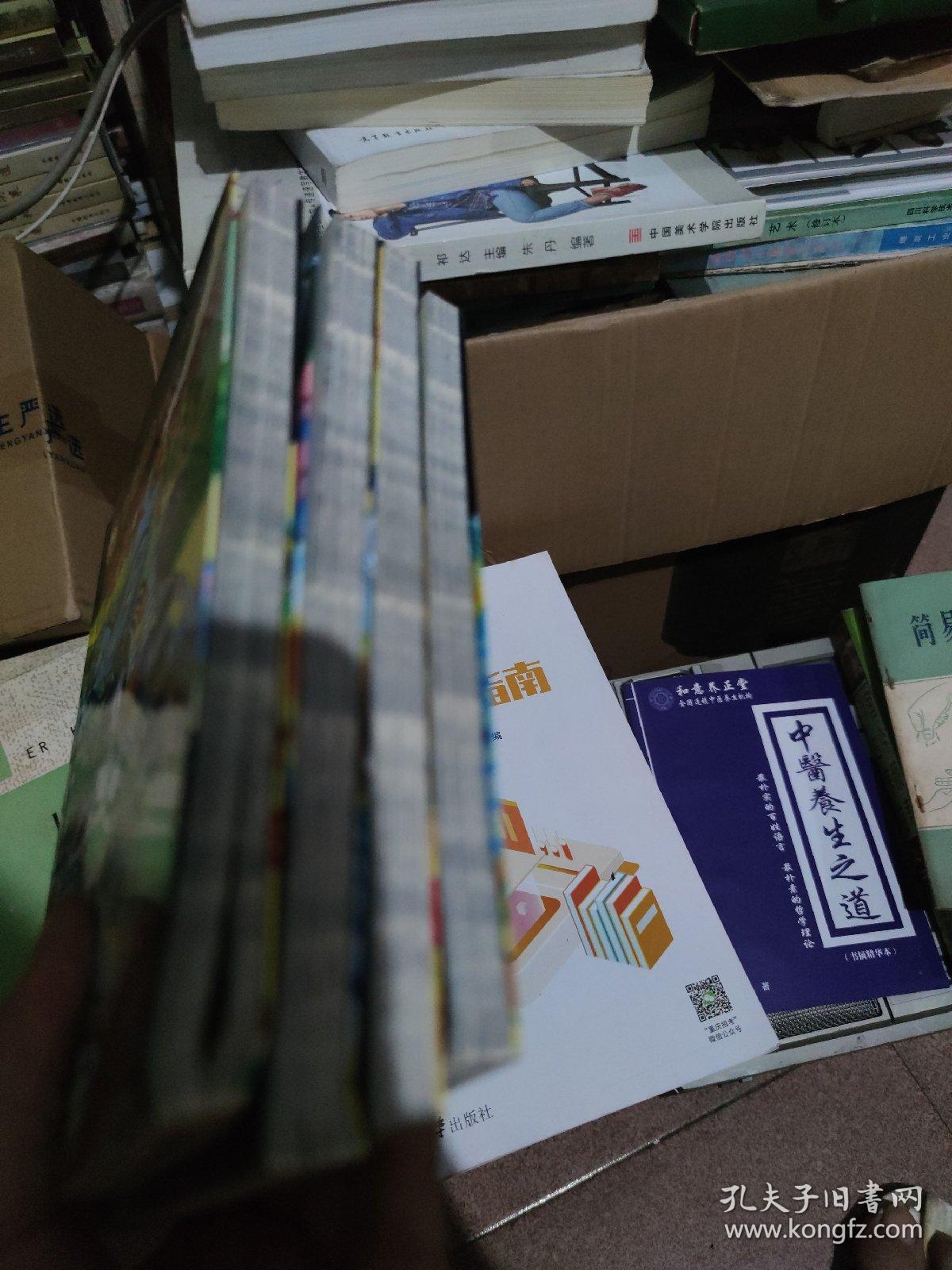 自助探险系列：1-6册1: 撒玛女巫的诅咒 2，孤岛寻宝、3，双头蛇神杖、6，T星极光