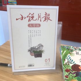 小说月报 大字版 2018.01