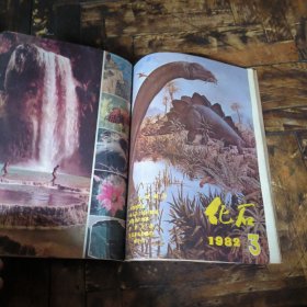 化石1982年1~4期（季刊，全年合售）