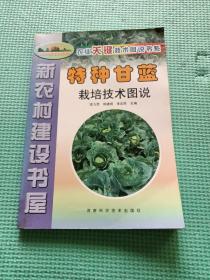 特种甘蓝栽培技术图说