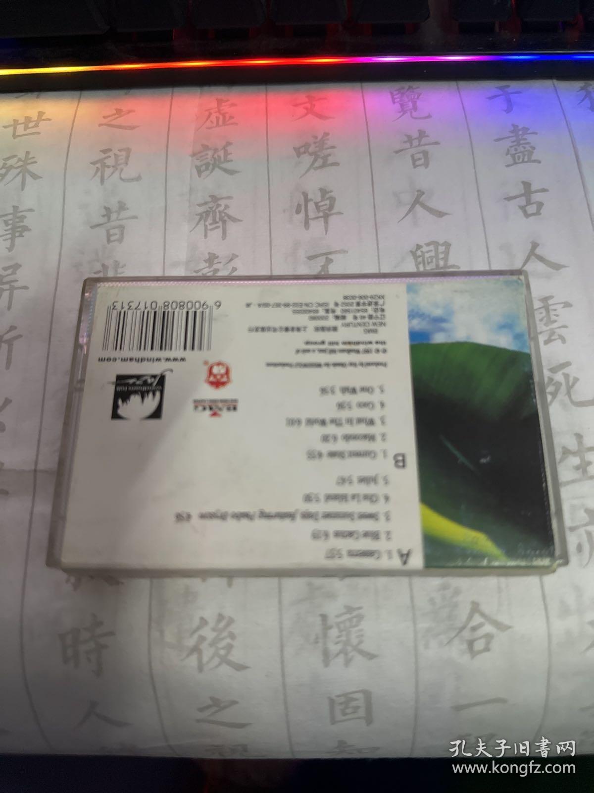 磁带 雷奥比德 夏日好时光