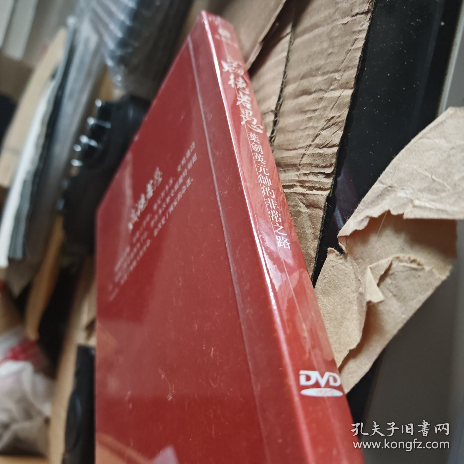盛得若愚-叶剑英元帅非常之路