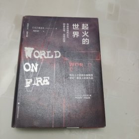 起火的世界：自由市场民主与种族仇恨、全球动荡（第二版）/雅理译丛