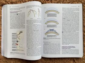 现货 Lehninger Principles of Biochemistry  英文原版  生物化学原理 David L. Nelson