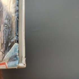 我的第一套视觉百科：地震