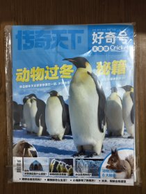 传奇天下 好奇号 2024年12月 总第592期 X星球+Y世界 2本合售
