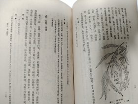 花镜 清初 陳溴子輯 伊欽恒校注