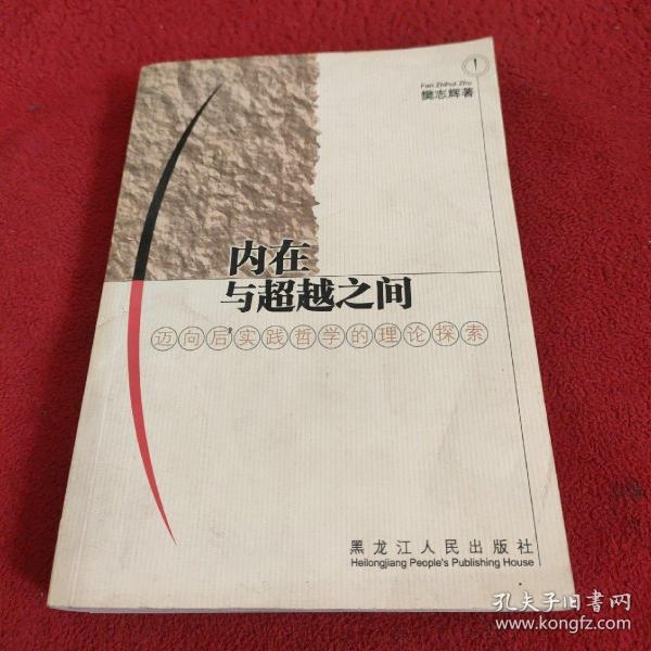 内在与超越之间:迈向后实践哲学的理论探索.