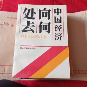 中国经济向何处去？88包邮。