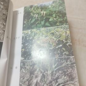 常用中药种植技术