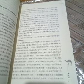 文明的溪流