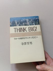 think big :ウォール街からワシントンD.C.へ【日文原版精装】