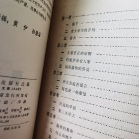 春天的雾（当代精品长篇文学）