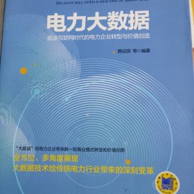 电力大数据：能源互联网时代的电力企业转型与价值创造