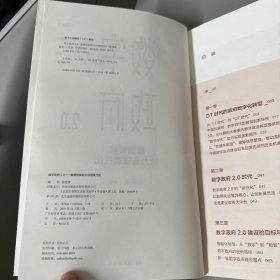 数字政府2.0：数据智能助力治理现代化