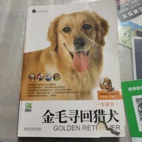 金毛寻回猎犬