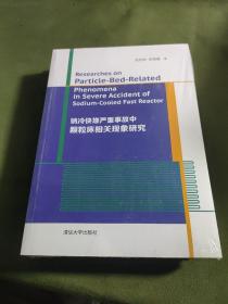 钠冷快堆严重事故中颗粒床相关现象研究