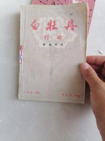 白牡丹行动（新编评书）