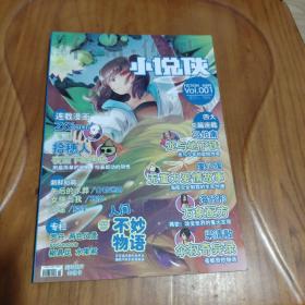 文学选刊 传奇.传记  小说侠