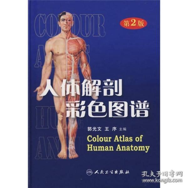 人体解剖彩色图谱