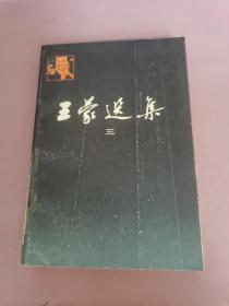 王蒙选集（三）