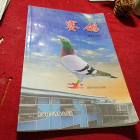 赛鸽