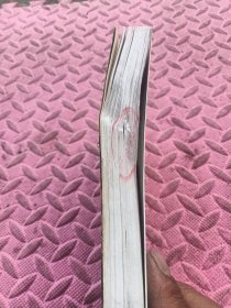 吸血鬼猎人D.6，D-圣魔遍历