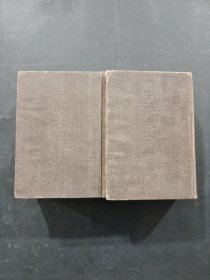 中華大詞典
