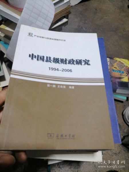 产业发展与环境治理研究论丛·中国县级财政研究：1994-2006