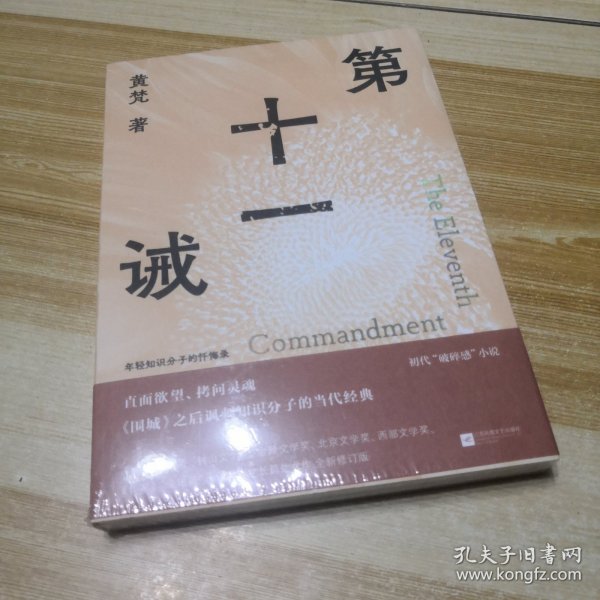 第十一诫 （年轻知识分子的忏悔录 直面欲望、拷问灵魂，《围城》之后讽刺知识分子的当代经典）