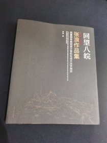 回望八皖·1991—2000张浪作品集——风景园林规划设计有机生成方法学溯源