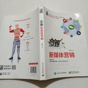 引爆新媒体营销