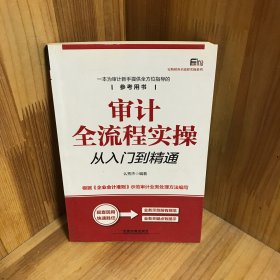 审计全流程实操从入门到精通