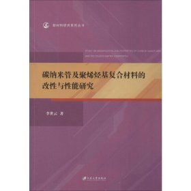 碳纳米管及聚烯烃基复合材料的改性与性能研究