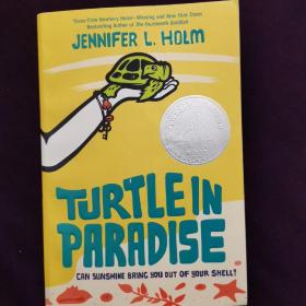 Turtle in Paradise