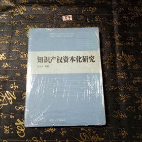 知识产权资本化研究