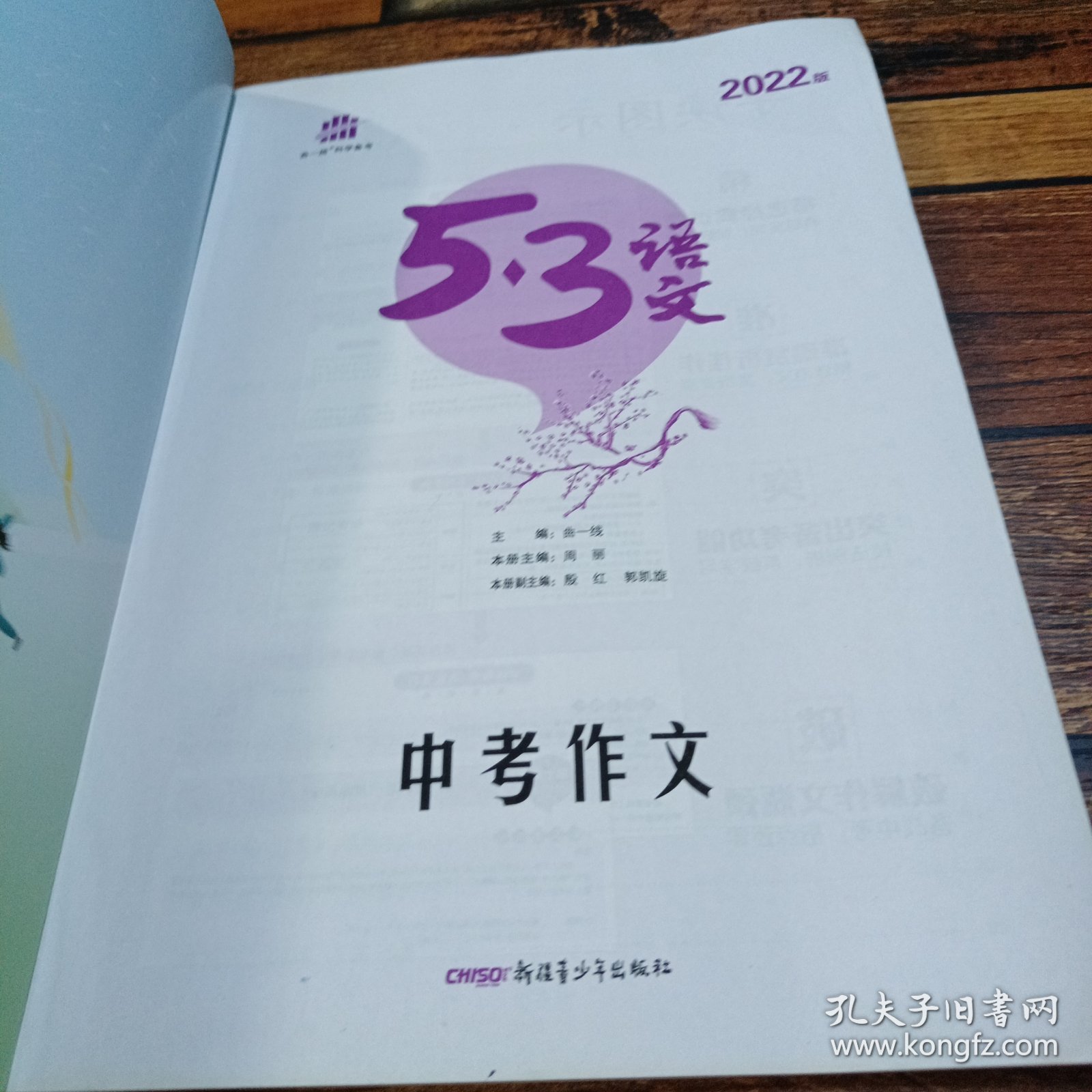 2020曲一线科学备考·53语文：中考作文
